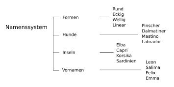 Namenssystem, systematisches Naming Symbol für Namenssystem, systematisches Naming